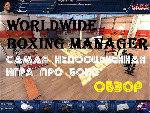 Видео: Worldwide Boxing Manager: самая крутая игра про бокс на ПК - ОБЗОР