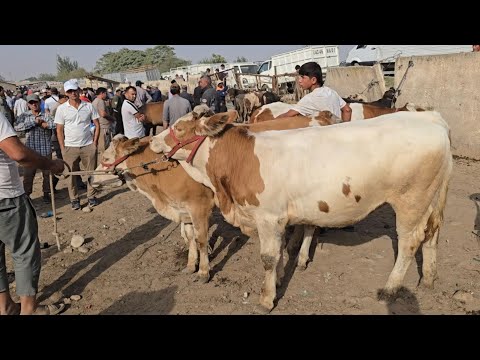 Видео: Панчшанбе бозори н.Ёвон  4.09.2025.г