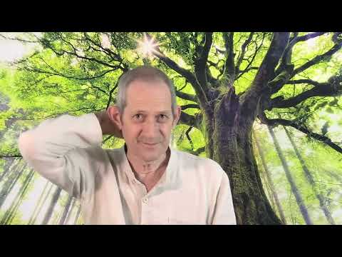 Видео: Жизнь на грани