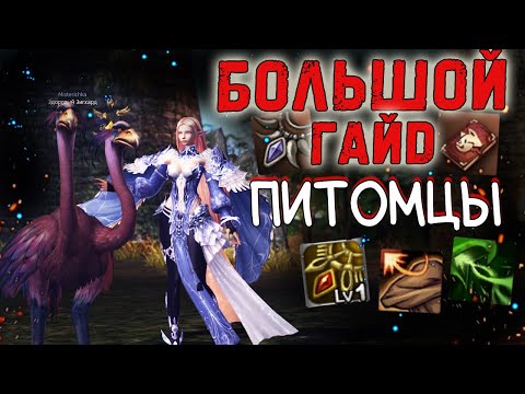 Видео: ВСЕ О ПИТОМЦАХ - гайд по петам lineage 2 project eva essence