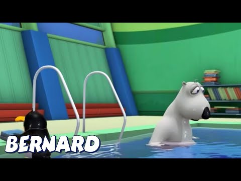 Видео: Бернард Медведь | плавание И БОЛЬШЕ | Мультфильмы для детей | Полные эпизоды