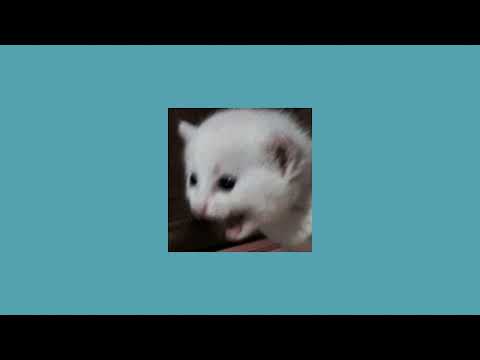 Видео: валентин стрыкало - все решено (speed up)