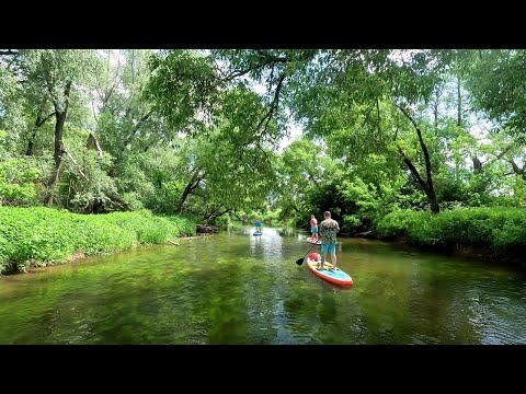 Видео: Северка на SUP Мещерино Шкинь 08062024