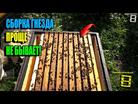 Видео: ПРОСТЕЙШАЯ СБОРКА ПЧЕЛИНОГО ГНЕЗДА В ЗИМУ И КОНТРОЛЬ КОРМОВ. ПЧЕЛОВОДСТВО 25-34