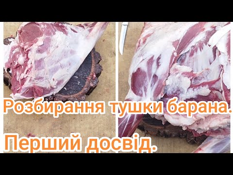 Видео: Тушка барана 22+ кг. Розбираю вперше.