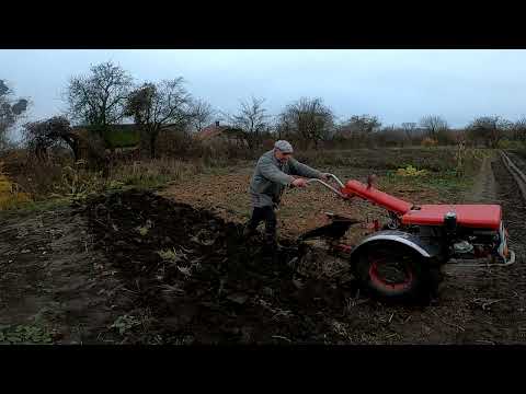 Видео: Малі участки добрі для малого мотоблока. Оремо швидко