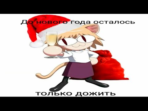 Видео: Мемы с неко арк из 2026 года