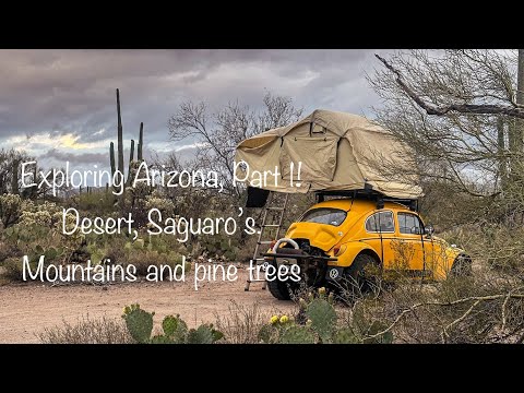 Видео: E12 Путешествую по Аризоне на моём Фольксвагене «Жук»: от пустыни до гор! | Baja Bug Overland