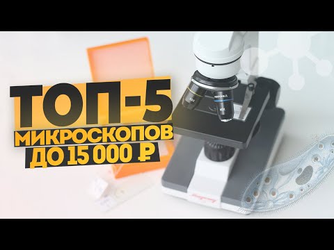 Видео: ТОП-5 микроскопов до 15 тысяч рублей