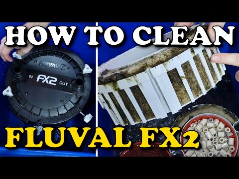 Видео: Внешний фильтр FLUVAL FX2. ПОЛНОЕ РУКОВОДСТВО ПО ОЧИСТКЕ И ОБСЛУЖИВАНИЮ | Аквариумный фильтр FX4 ...