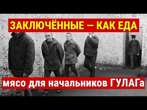 Видео: ЗАКЛЮЧЁННЫЕ — КАК ЕДА: мясо для начальников ГУЛАГа