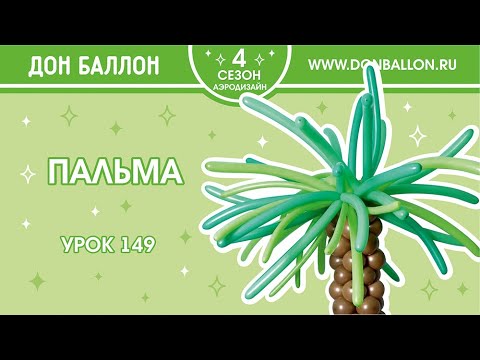 Видео: Урок 149. Пальма