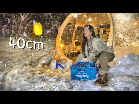 Видео: 🌨❄️сильный снегопад, кемпинг, установка палатки, похожей на иглу | рухнувшая палатка
