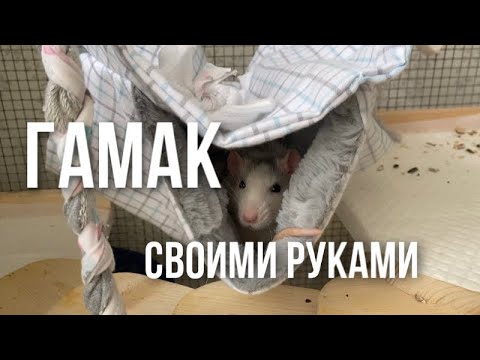 Видео: САМОДЕЛЬНЫЙ ГАМАК ДЛЯ ДЕКОРАТИВНЫХ КРЫС!!