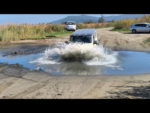 Видео: Шарди закрывает купальный сезон