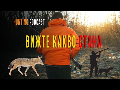 Видео: Лов на чакал 2024