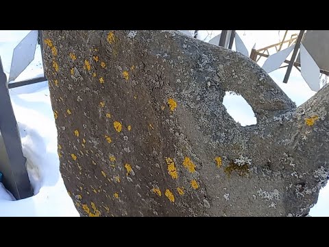 Видео: Грибок на памятнике и меры предосторожности.