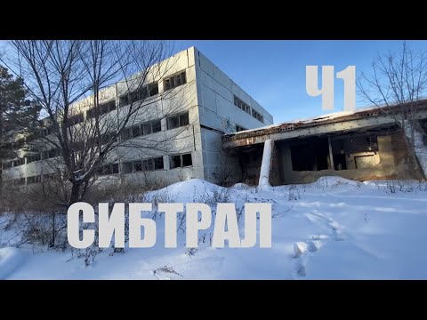 Видео: СИБТРАЛ - СОСНОВОБОРСК