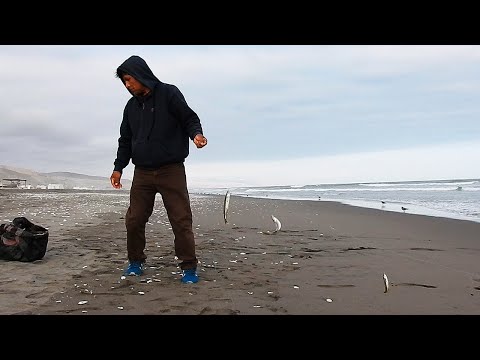 Видео: Техника ловли на 12 крючков от ЭКСПЕРТА удивляет всех на берегу