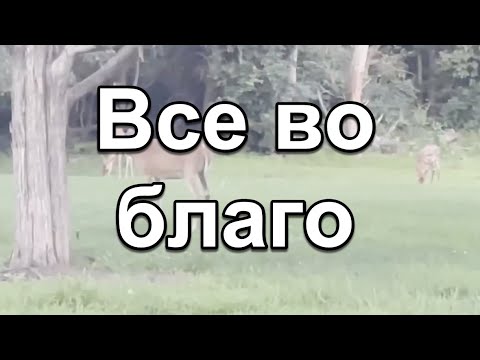 Видео: Все во благо