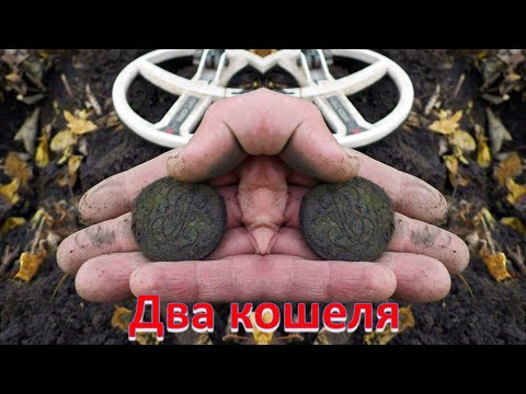 Видео: Два дня-два кошеля монет 18 века