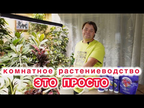 Видео: Раскрываю секрет комнатного растениеводства