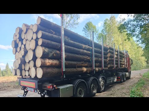 Видео: КВАРТИРНЫЙ ВОПРОС