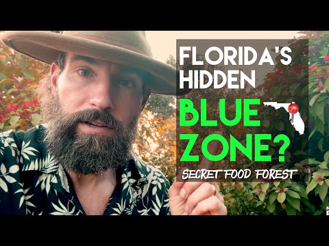 Видео: Скрытая голубая зона Флориды: движение Food Forest
