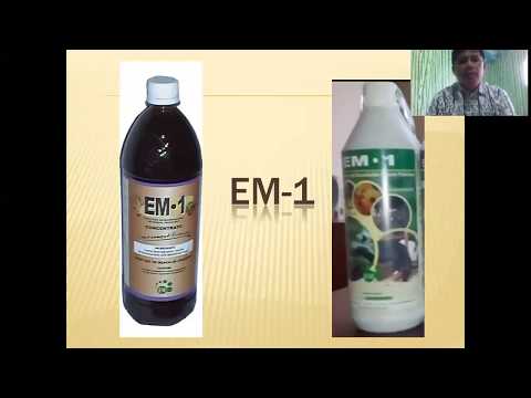 Видео: ЯПОНСКИЕ ТЕХНОЛОГИИ: ЧТО ТАКОЕ EM-1 и EMAS?