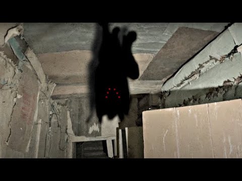 Видео: Я ВЫПУСТИЛ ДЕМОНА