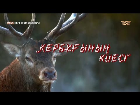 Видео: Оралхан Бөкейдің 80 жылдығына арналған «Кербұғының киесі» деректі фильмі