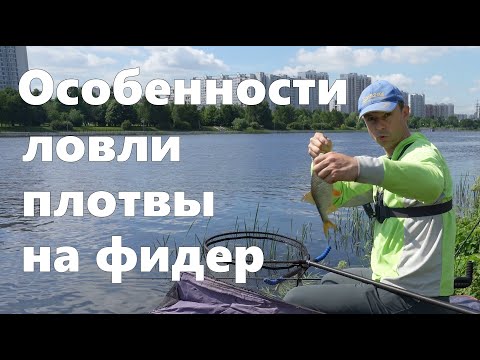 Видео: Особенности ловли плотвы на фидер