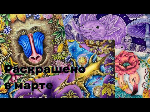 Видео: Март 2025: результаты, покупки, планы