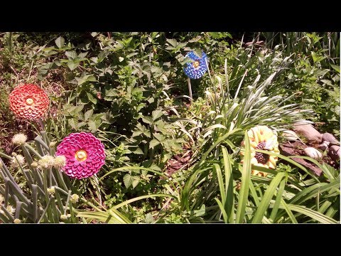 Видео: Большие цветы для сада 3 часть ХоббиМаркет