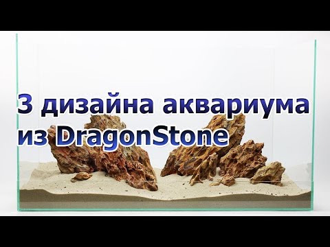 Видео: Что можно сделать из 6кг Дракона в аквариуме. Дизайн аквариума.