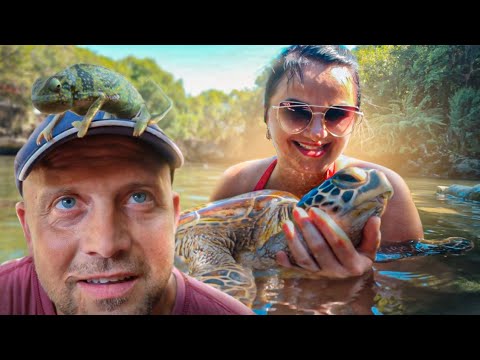 Видео: Купание с морскими черепахами. Африканский зоопарк с чудными животными. Рыбный рынок и ужин с рыбой.