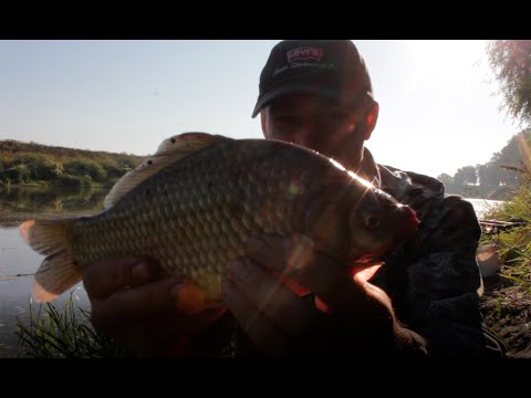 Видео: Рыбалка на карася на Дону. Рыбалка с ночёвкой в Воронежской области.