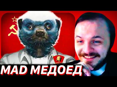Видео: MAD МЕДОЕД В ГОСТЯХ У ЖМИЛЬ / Дебаты с Росовым, Асафьев и актуальные новости
