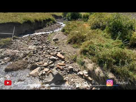 Видео: Шабан Шабанов - (2020)