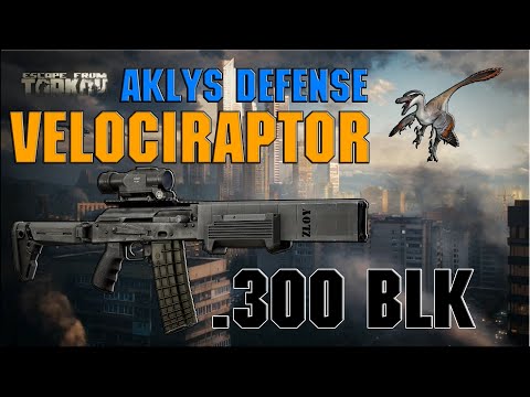 Видео: VELOCIRAPTOR  .300 BLACKOUT | УЧУ МЕТКО СТРЕЛЯТЬ | ESCAPE FROM TARKOV
