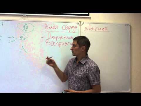 Видео: Ощущения и восприятие  Лекция 1