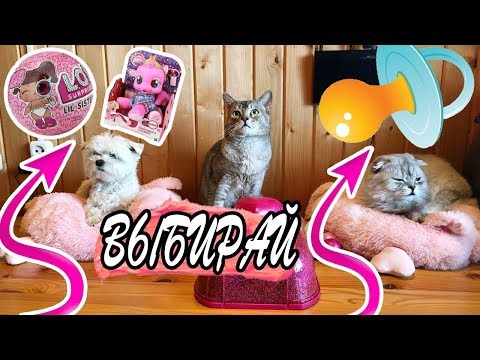 Видео: СЛАДКАЯ ИГРУШКА ИЛИ ПУСТЫШКА ЧЕЛЛЕНДЖ! СЛАДУН СЪЕЛ ПИКАЧУ!