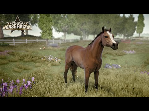 Видео: Продаю вообще всех жеребят в Rival Stars Horse Racing?