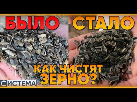 Видео: ОЧИСТКА ЗЕРНА ПЕРЕД ЗЕРНОСУШИЛКОЙ // Пример правильной сушки семян // Для чего нужна очистка зерна?