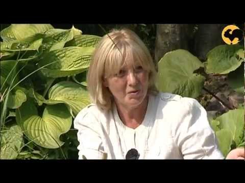 Видео: Уютный сад..Ландшафтные хитрости серия 77