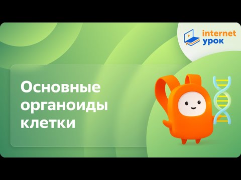 Видео: Биология 9 класс. Основные органоиды клетки