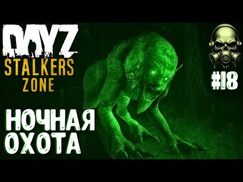 Видео: НОЧНАЯ ОХОТА! DAYZ PVEVP ПРОЕКТ STALKERS ZONE! #18