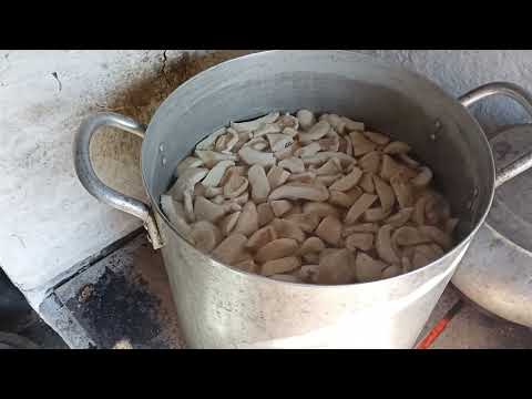 Видео: Груздь белый сухой. Хлопотно, но вкусно!