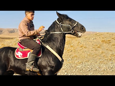 Видео: Кара Кийикти Жеткен Алат✊️