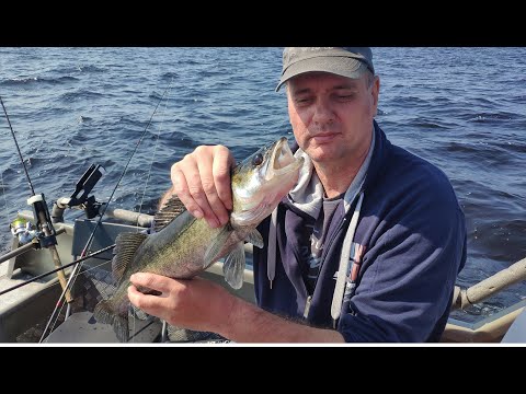 Видео: Убойная рыбалка на ЛАДОГЕ!!! Июнь 2020!!!